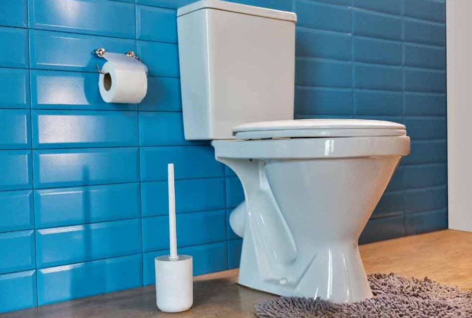 It’s World Toilet Day… and this year’s theme is valuing toilets!