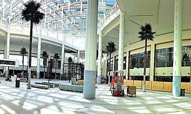 Forever Trees Create Realistic and Sustainable Florida Experience in Orlando International Airport’s Terminal C