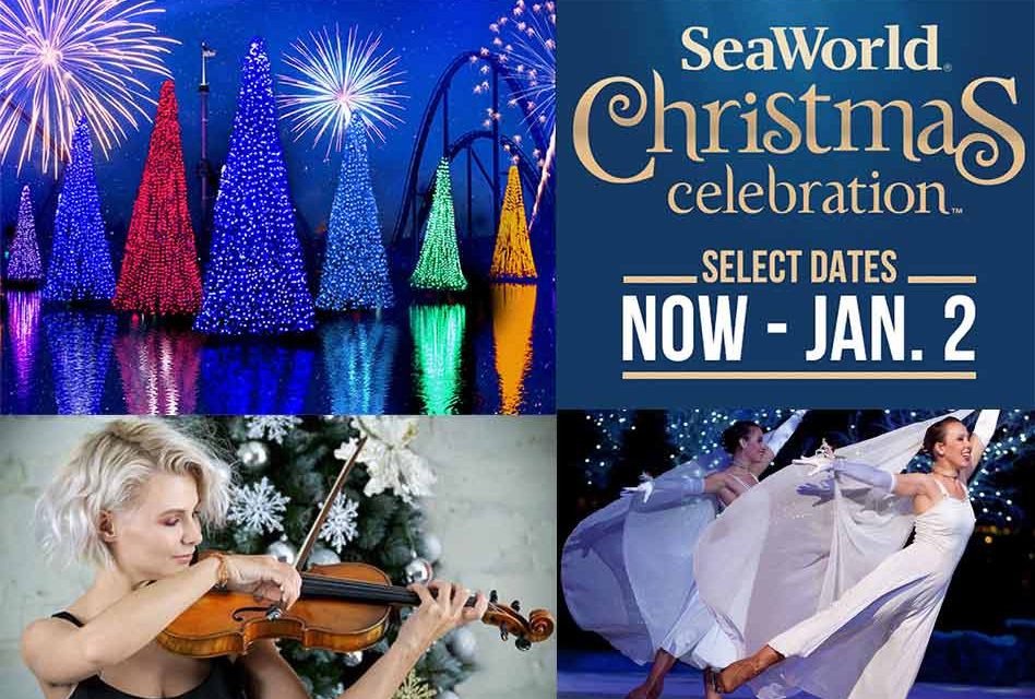 Experience SeaWorld’s Sparkling Christmas Celebration Through January 2
