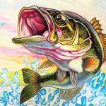 FWC, Wildlife Forever to host Florida State Fish Art Contest