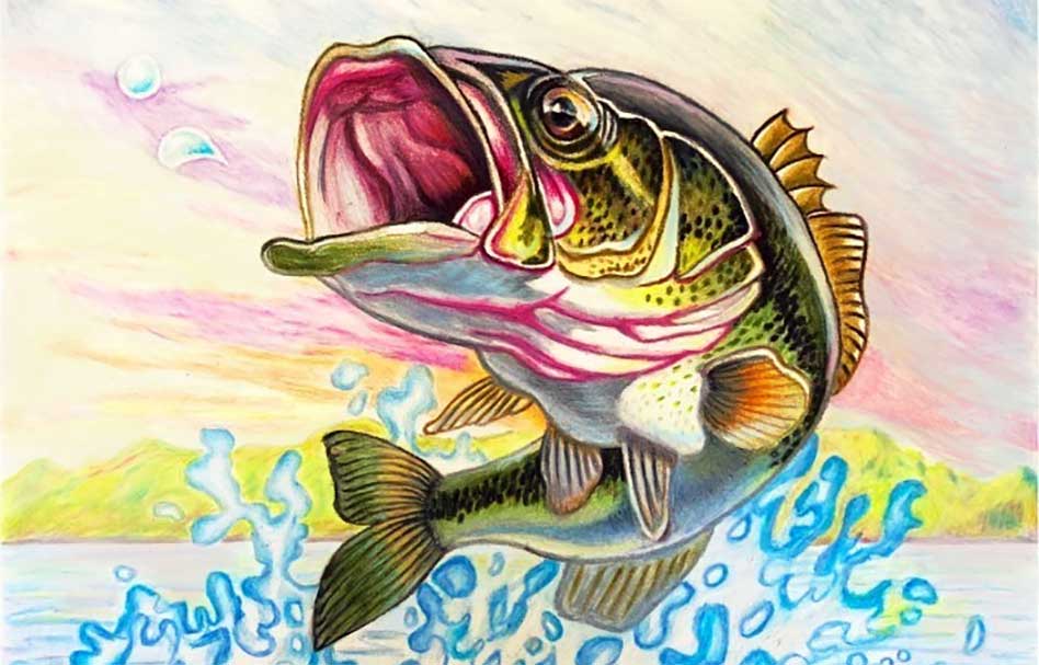 FWC, Wildlife Forever to host Florida State Fish Art Contest