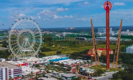 14-year-old boy dies after fall from ‘Free Fall’ ride at ICON Park, authorities say