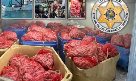FWC officers intercept commercial vessel with more than 11,000 pounds of illegally harvested shrimp