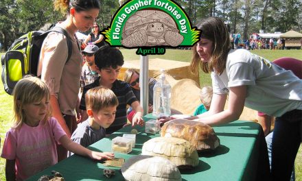 Get involved with Gopher Tortoise Day in your community, FWC Says