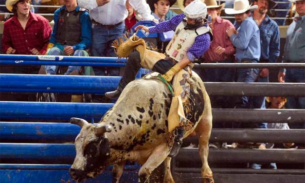 The 149th Silver Spurs Rodeo rides into Silver Spurs Arena in Kissimmee June 3 – 4