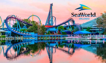 SeaWorld named top Theme Park in the nation, Ice Breaker is best new attraction