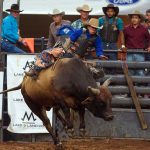 Boots, Bulls & Barrels Returns to Silver Spurs Arena October 4 for One Night of Heart-Pounding Rodeo Action