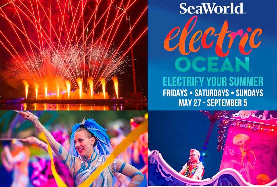 Limited Edition SeaWorld Light Up Button 