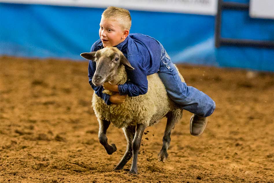 The 149th Silver Spurs Rodeo returns to Kissimmee June 3-4, so does Mutton Bustin’ for the kiddos!