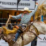 149th Silver Spurs Rodeo to Feature the Best in Saddle Bronc Riding June 3-4 in Kissimmee
