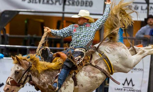 149th Silver Spurs Rodeo to Feature the Best in Saddle Bronc Riding June 3-4 in Kissimmee