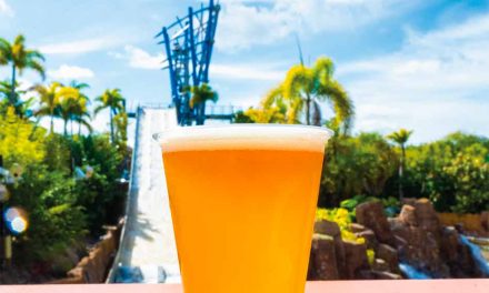 Free Beer is Back All Summer Long at SeaWorld Orlando