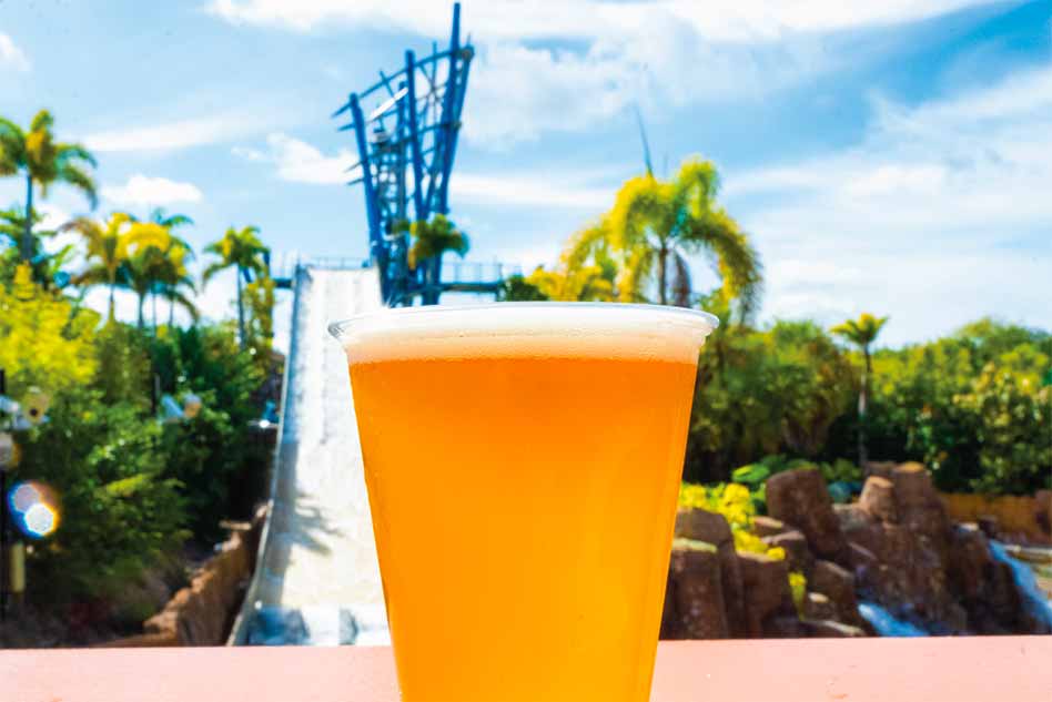 Free Beer is Back All Summer Long at SeaWorld Orlando