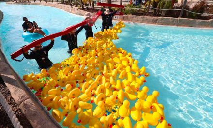 Pathway Homes’ 2nd Annual Duck Race brings community together to support homelessness advocacy