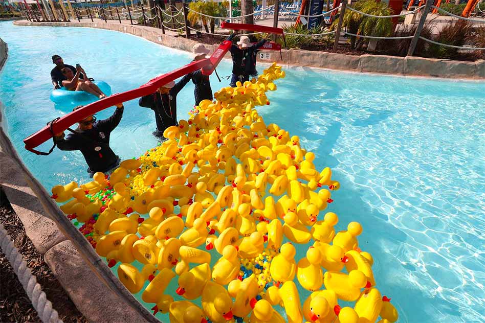 Pathway Homes’ 2nd Annual Duck Race brings community together to support homelessness advocacy