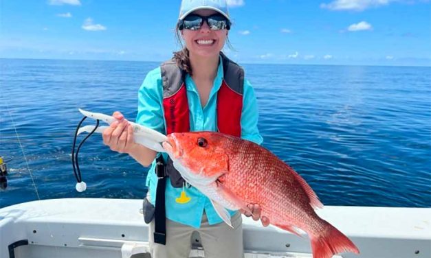 Recreational red snapper season starts June 17 in Gulf state and federal waters off Florida