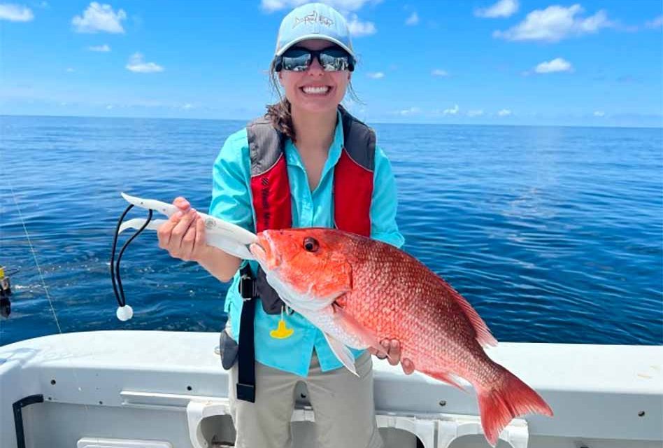 Recreational red snapper season starts June 17 in Gulf state and federal waters off Florida