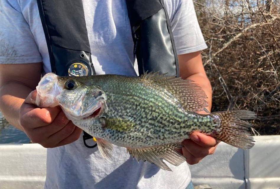 New black crappie fishing regulations approved by Florida Fish and Wildlife Conservation Commission
