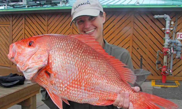 Recreational red snapper summer season closes Aug. 1 in Gulf state and federal waters