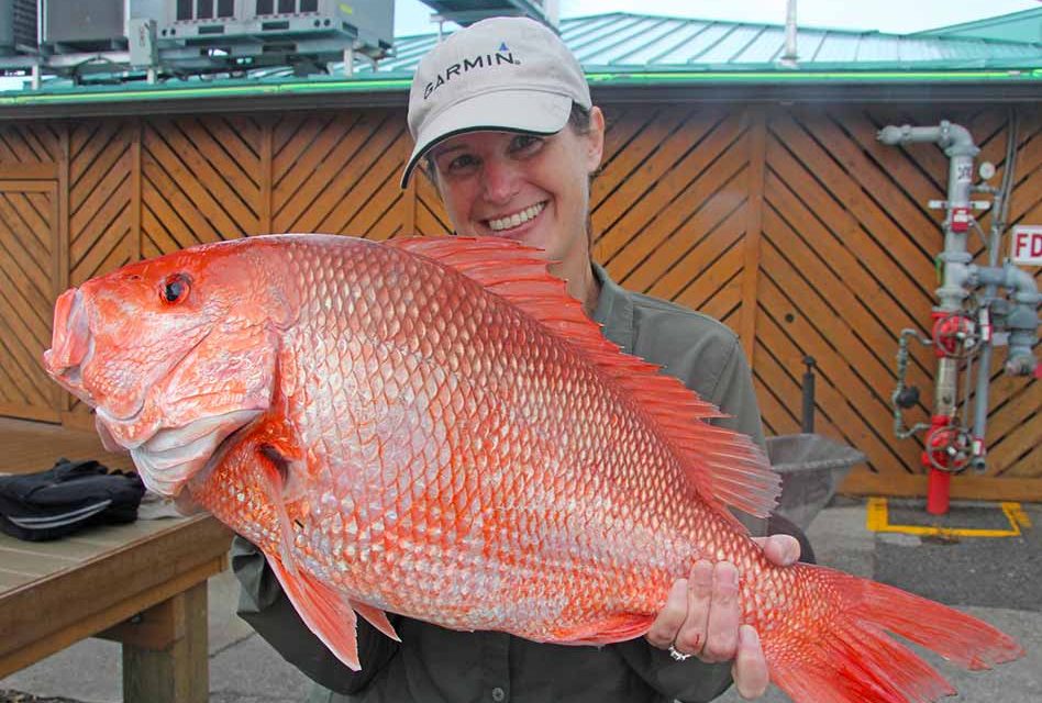 Recreational red snapper summer season closes Aug. 1 in Gulf state and federal waters