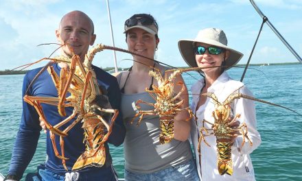 It’s almost Spiny lobster season in Florida!