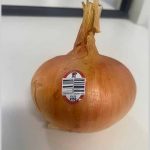 Vidalia sweet onions sold at Wegman’s, Publix recalled over listeria concerns
