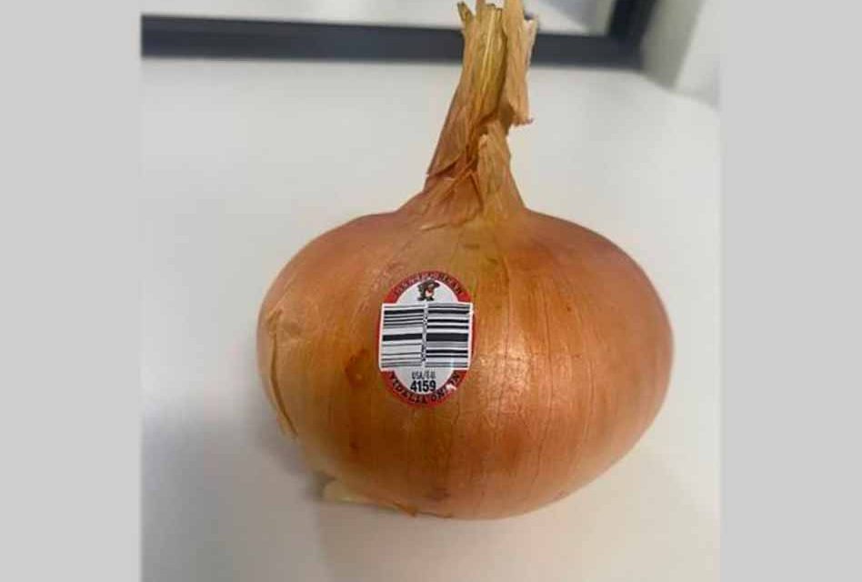 Vidalia sweet onions sold at Wegman’s, Publix recalled over listeria concerns