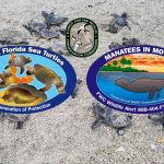 Stick with manatees and sea turtles by collecting this year’s FWC decals