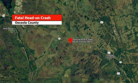 Head-on crash Sunday night leaves 72-year-old woman dead in Osceola County