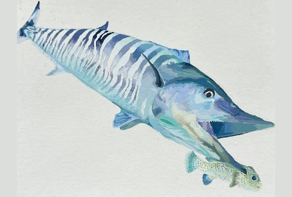 FWC to host Florida State Fish Art Contest