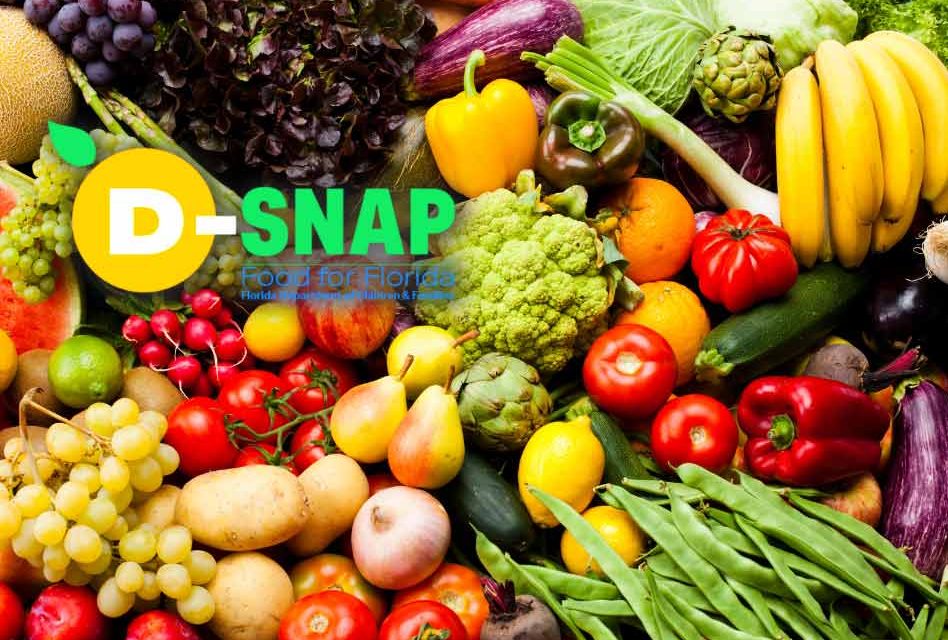 D-SNAP third phase opens today in Osceola County for residents affected by Hurricane Ian