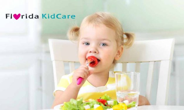 Florida KidCare covering monthly premium payments for families in Florida counties impacted by Hurricane Ian