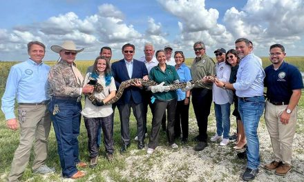 Florida Governor Ron DeSantis Launches 2023 Florida Python Challenge to Tackle Invasive Species