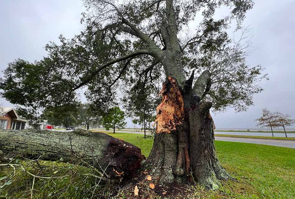 Nicole exited Osceola County as a tropical storm on Thursday, brought isolated impacts to the region