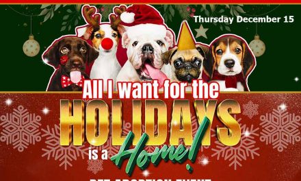 Osceola Sheriff Marcos Lopez, Osceola County Animal Services to host “All I Want for the Holidays is a Home” Pet Adoption Event