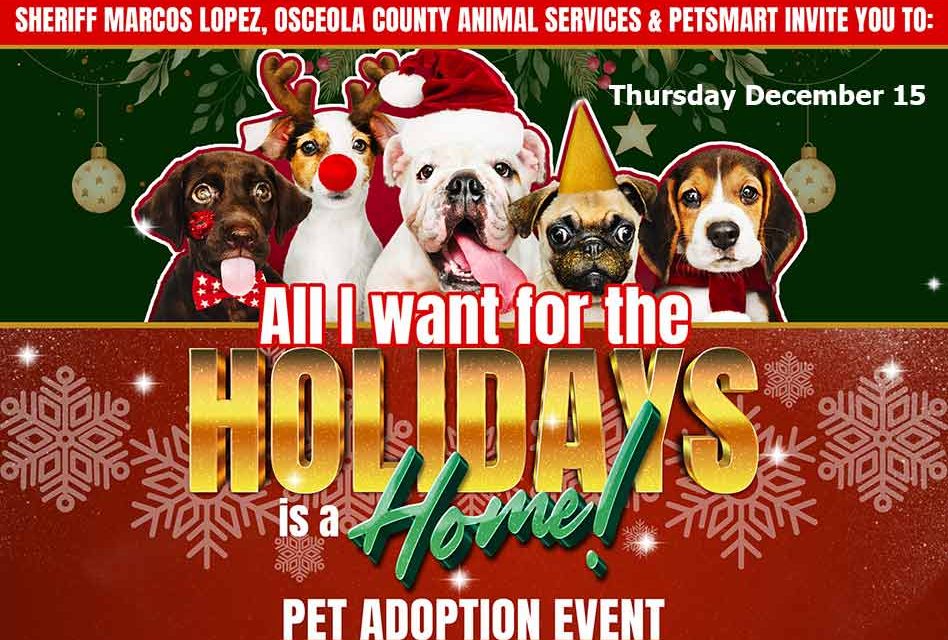 Osceola Sheriff Marcos Lopez, Osceola County Animal Services to host “All I Want for the Holidays is a Home” Pet Adoption Event