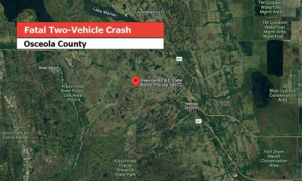 One child, one adult die in two-vehicle crash in Osceola County, FHP says