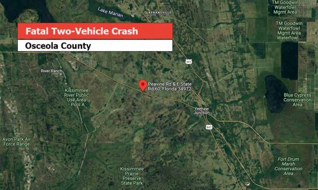 One child, one adult die in two-vehicle crash in Osceola County, FHP says