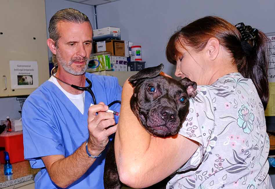 Dr. Aaron Walton Joins Osceola County Animal Services as Staff Veterinarian