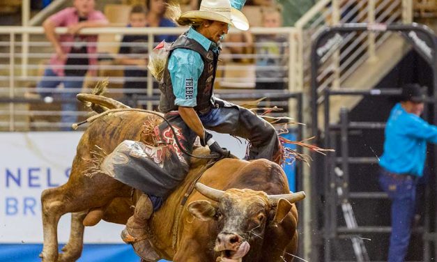 Saddle Up for the 151st Silver Spurs Rodeo, Bucking into the Silver Spurs Arena June 2nd and 3rd