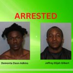 Two men arrested for breaking into cars, stealing credit cards and guns in Osceola County