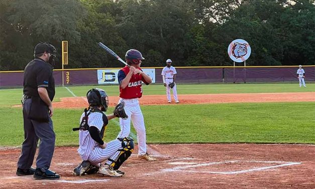 Regular Season Winds Down For Spring Sports, Osceola’s Haase Wins Schultz Award