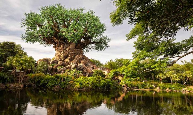 Disney’s Animal Kingdom Theme Park Turns 25, Continues to Showcase the Magic of Nature