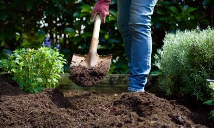 April is National Safe Digging Month & Sunshine 811 Offers Tips That Homeowners Can Dig Into