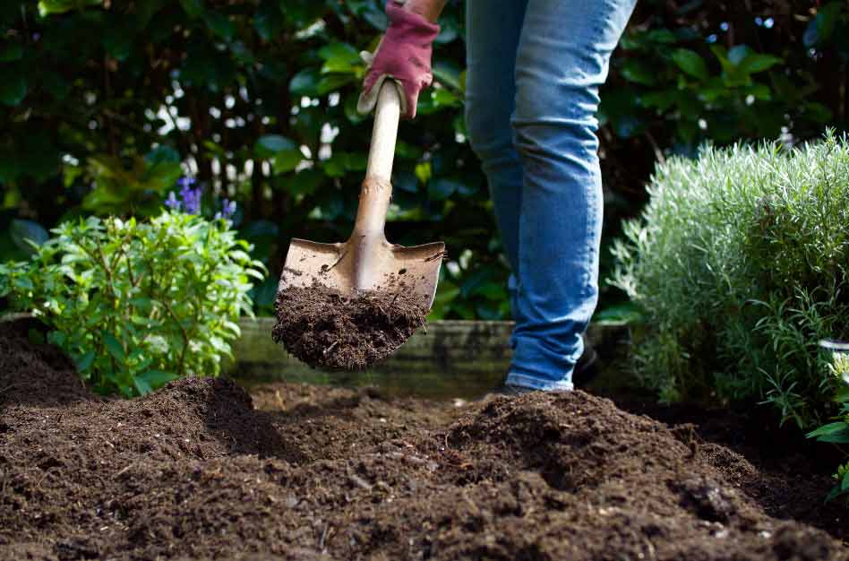 April is National Safe Digging Month & Sunshine 811 Offers Tips That Homeowners Can Dig Into