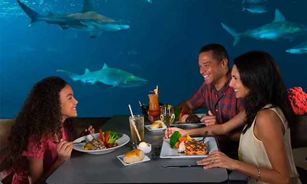 Celebrate Mom at SeaWorld Orlando’s Sharks Underwater Grill Sunday, May 14