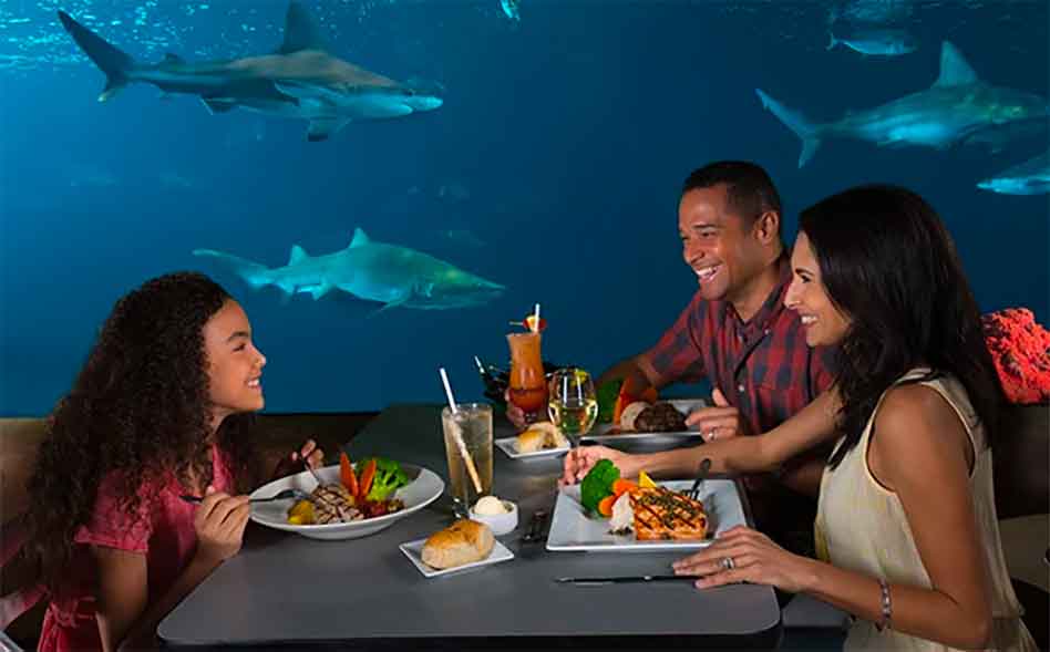 Celebrate Mom at SeaWorld Orlando’s Sharks Underwater Grill Sunday, May 14