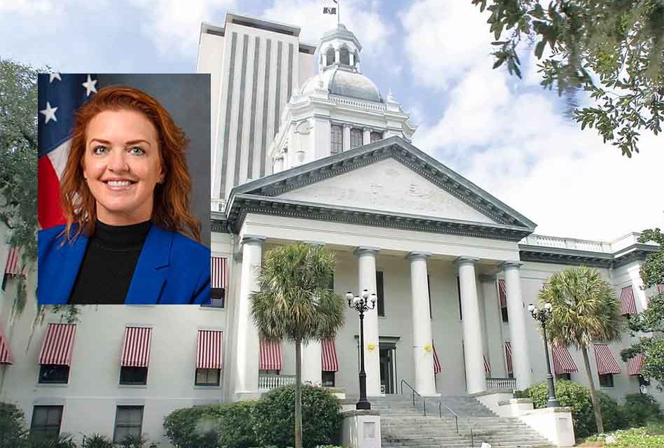 Governor Ron DeSantis Signs Representative Kristen Arrington’s Guidance Services Bill into Law