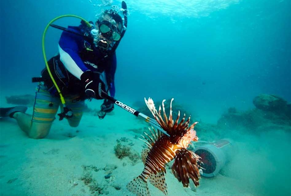 FWC Announces 2023 Lionfish Challenge to Tackle Invasive Species