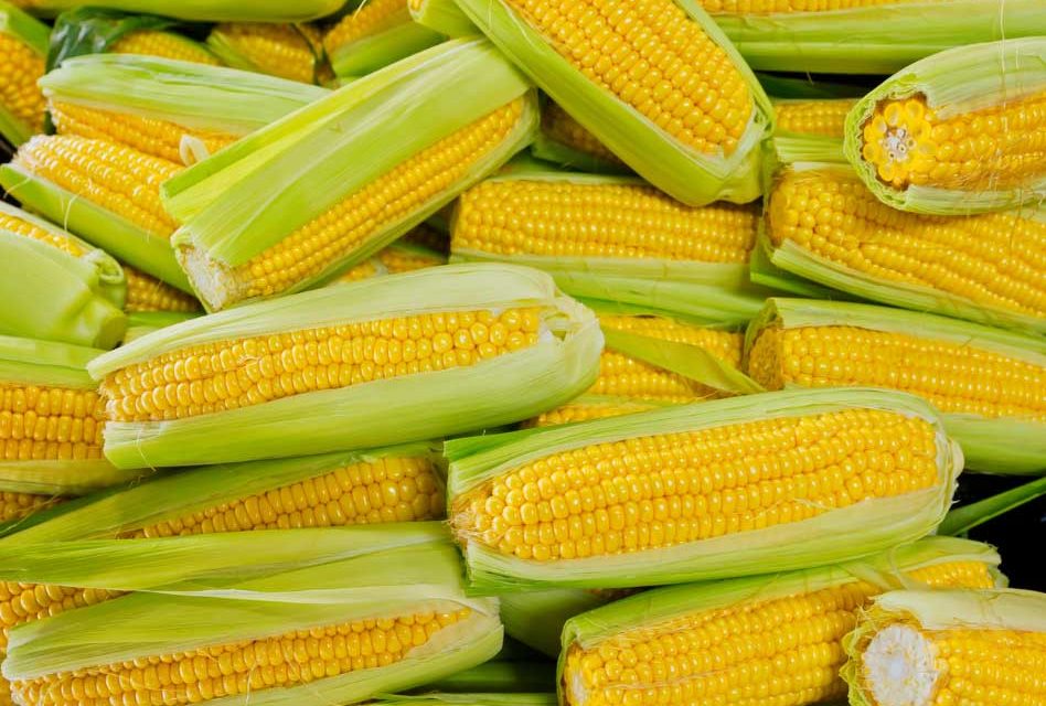 Corn Takes the Crown: Green Giant Survey Reveals America’s Favorite Vegetable, No Longer Broccoli
